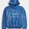 Baggy Cinch Washed Forest Hills Graphic Hoodie,Baggy Cinch Washed Forest Hills Graphic Hoodie