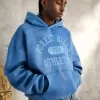 Baggy Cinch Washed Forest Hills Graphic Hoodie,Baggy Cinch Washed Forest Hills Graphic Hoodie