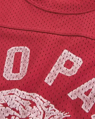 Boxy Crop Mesh Echo Park Graphic Football Jersey,Boxy Crop Mesh Echo Park Graphic Football Jersey