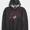 Boxy Georgia Bulldogs Graphic Hoodie,Boxy Georgia Bulldogs Graphic Hoodie