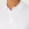 Icon Polo,Icon Polo